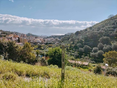 Foto Terreno agricolo a Messina Bordonaro - Cumia di 6000 m² in vendita