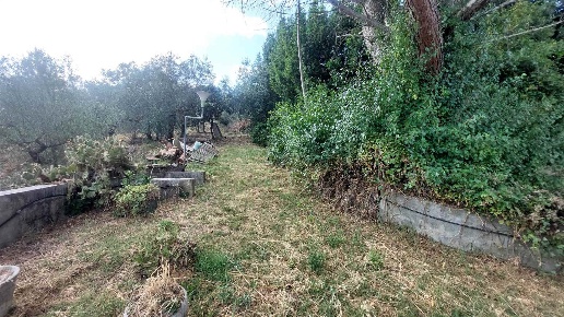 immagine annuncio 6 di 14