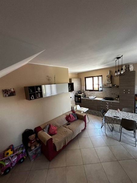immagine annuncio 9 di 14