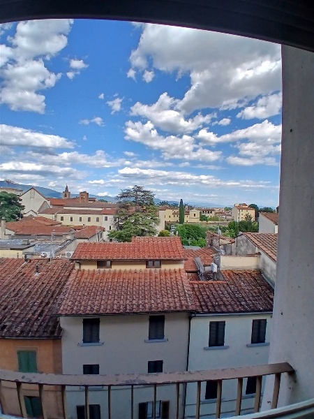 immagine annuncio 5 di 14
