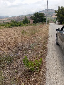 Foto Terreno edificabile a Buseto Palizzolo Centro di 1250 m² in vendita