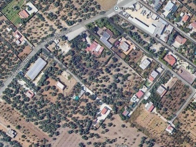 Foto Terreno agricolo in Via Vecchia Corato, Bisceglie di 1741 m²