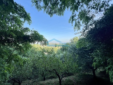 Foto Terreno agricolo a Adro di 4330 m² in vendita