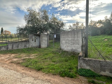 Foto Terreno agricolo in Via dei Gelsi di Niscima 1, Caltanissetta