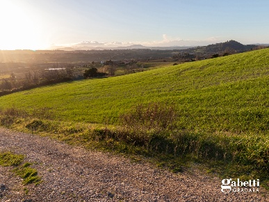Foto Terreno residenziale in Via Boncio snc, Gradara di 50000 m² in vendita