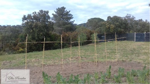 Foto Terreno agricolo a Porto Azzurro in vendita