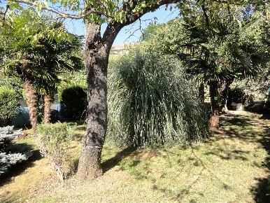Foto Terreno agricolo a Cairo Montenotte di 371 m² in vendita