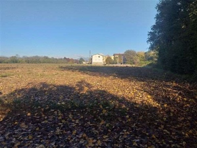 Foto Terreno edificabile in frazione San Pelajo, Treviso in vendita
