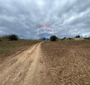 Foto Terreno agricolo in Contrada Piano Stella SP.34, Caltagirone
