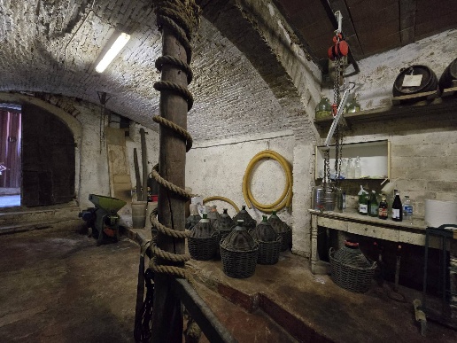 immagine annuncio 9 di 15