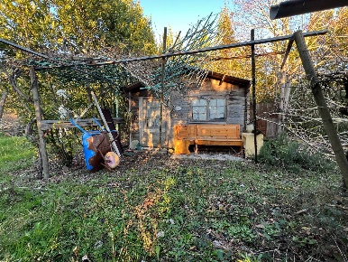 Foto Terreno agricolo in Via Della Casa Rossa, Pisa Marina di Pisa