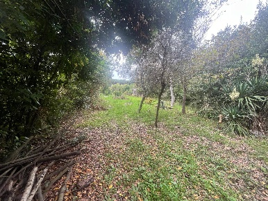 Foto Terreno agricolo in Via Della Casa Rossa, Pisa Marina di Pisa