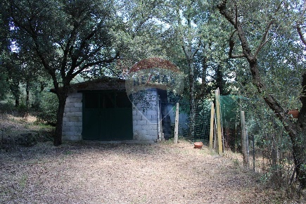 Foto Terreno agricolo a Capraia e Limite di 4448 m² in vendita