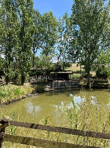 Foto Terreno agricolo a Vinci di 2000 m² in vendita