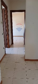 Foto Appartamento a Empoli in affitto