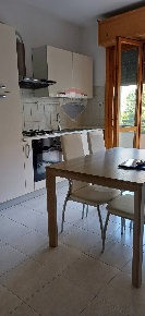 Foto Appartamento a Empoli in affitto