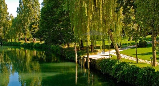 immagine annuncio 4 di 8