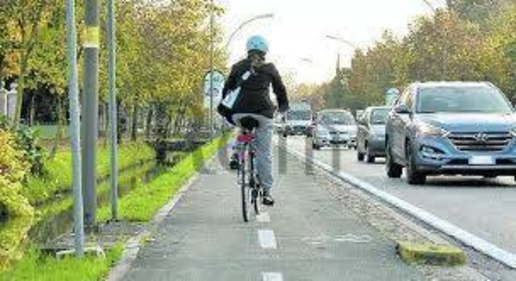 immagine annuncio 5 di 8