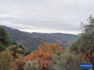 Foto Villa unifamiliare a Camaiore Camaiore Paese di 140 m² con 5 locali