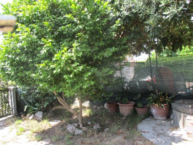 Foto Casa indipendente a Bientina Quattro Strade di 120 m² con 7 locali