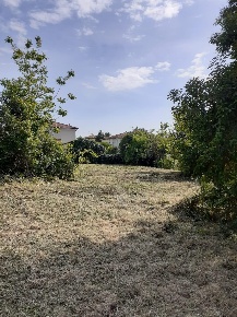 Foto Terreno agricolo a San Giuliano Terme Arena Metato di 4290 m²