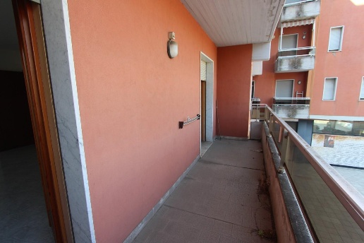 immagine annuncio 7 di 14