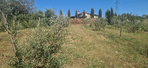 Foto Casa indipendente a Casciana Terme Lari Le Casine Perignano Spinelli