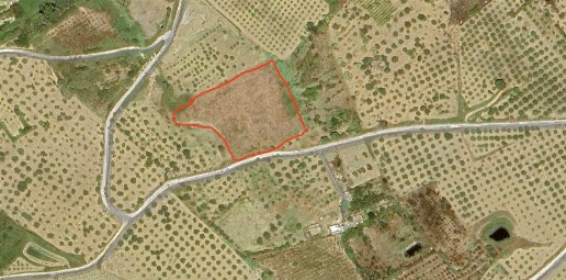 Foto Terreno agricolo in CONTRADA SCIRINDA, Ribera di 8080 m² in vendita