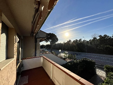 Foto Appartamento a Pisa Tirrenia di 38 m² con 2 locali in affitto