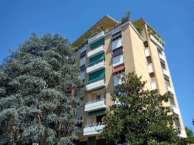 Foto Appartamento in VIA CARDUCCI 12, Gallarate Centro di 175 m² in affitto