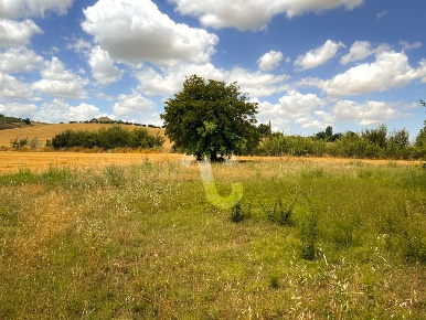Foto Casale a Monte Roberto di 285 m² con 7 locali in vendita