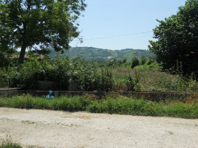 Foto Terreno agricolo in Via sciacquatoio, Spinetoli di 8210 m² in vendita