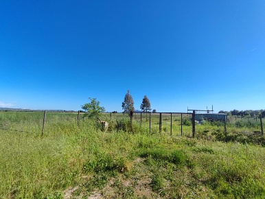 Foto Terreno agricolo a Grosseto La Principina di 7000 m² in vendita