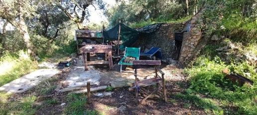 Foto Terreno agricolo a Massa Turano di 7032 m² in vendita