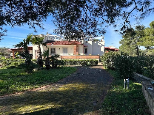 immagine annuncio 12 di 14