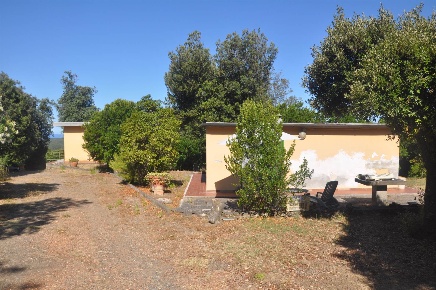 Foto Struttura sanitaria a Rosignano Marittimo Chioma, Nibbiaia di 110 m²