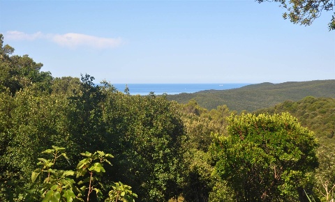 Foto Struttura sanitaria a Rosignano Marittimo Chioma, Nibbiaia di 110 m²