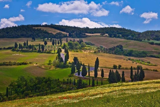 immagine annuncio 2 di 4