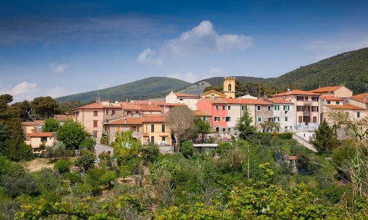 immagine annuncio 10 di 13
