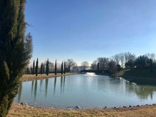 immagine annuncio 2 di 8