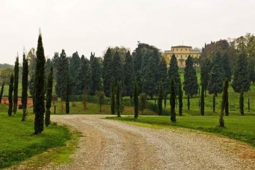 immagine annuncio 7 di 8