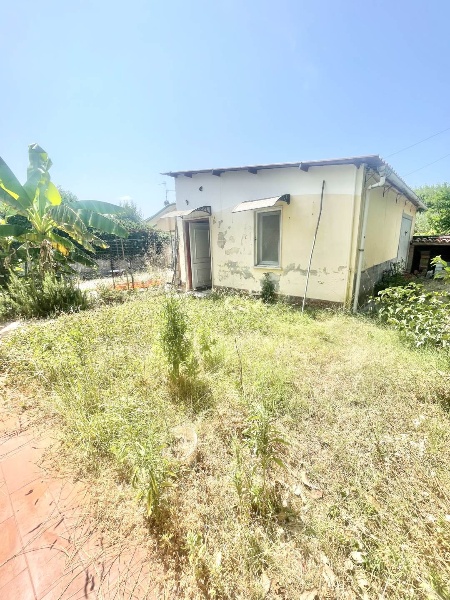 immagine annuncio 10 di 12