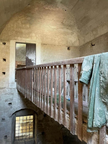 immagine annuncio 4 di 14