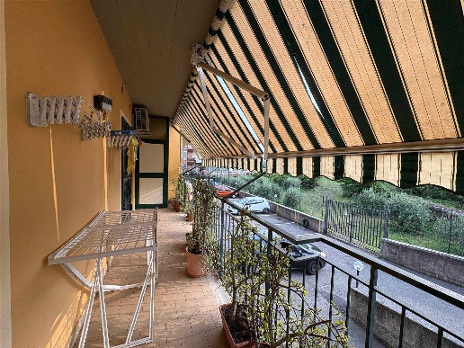 immagine annuncio 3 di 12