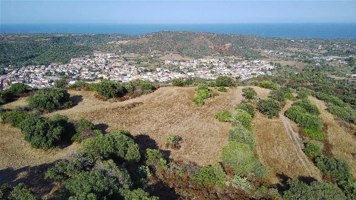 Foto Terreno agricolo a Bari Sardo di 26580 m² in vendita