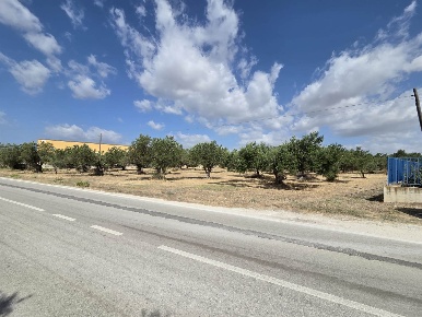Foto Terreno industriale in SP37, Sciacca di 3330 m² in vendita