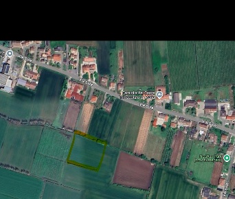 Foto Terreno agricolo in Via Sule 1, Cologna Veneta Sulé di 5725 m²