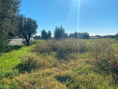Foto Terreno residenziale a Sellia Marina di 1000 m² in vendita