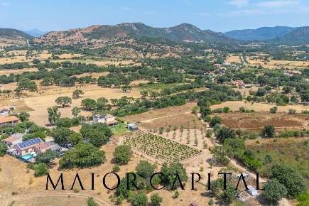Foto Terreno residenziale in Via L'Alzolu, Loiri Porto San Paolo di 2116 m²
