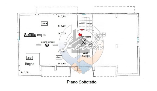 immagine annuncio 6 di 11